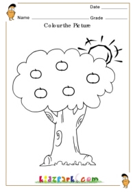 Colour the apple and the tree,Kindergarten Worksheets,Pre School