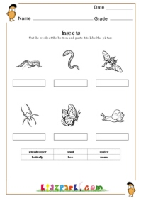 Insect Worksheets,Printable and Downloadable Activity Sheets